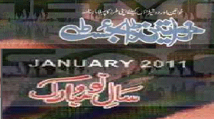 Khawateen Digest January 2011