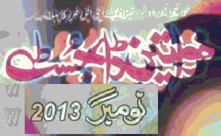 Khawateen Digest November 2013