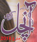 Aanchal Digest March 2014