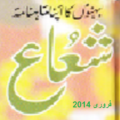 Shuaa Digest February 2014