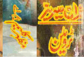 True Man (Imran Series)