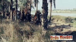 Mukhtar Nama 8 Urdu (Revenge of Karbala)