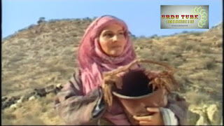 The Emissary of Imam Hussein 5 (Urdu Serial)