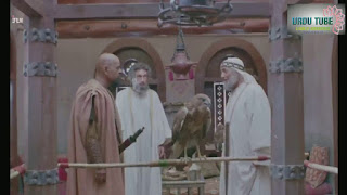 A Loneliest Commander 8 (Complete Urdu Serial)