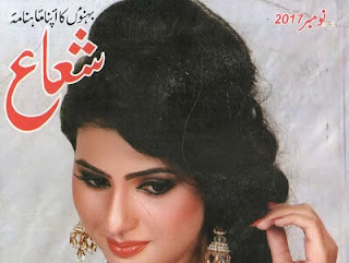 Shuaa Digest November 2017