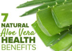 7 Amazing Home Uses of Aloe Vera. Basically, Aloe Vera is wild plant which grew up easily every where around the world in every season...