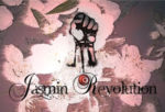 Civil Resistance Campaign in Series of Street Demonstration--Tunisian Jasmine Revolution