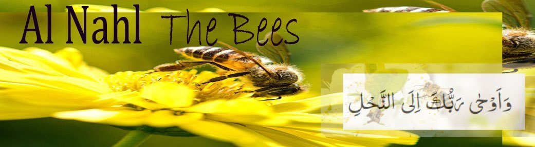 Honey Bee [Quran Aur Science 7]